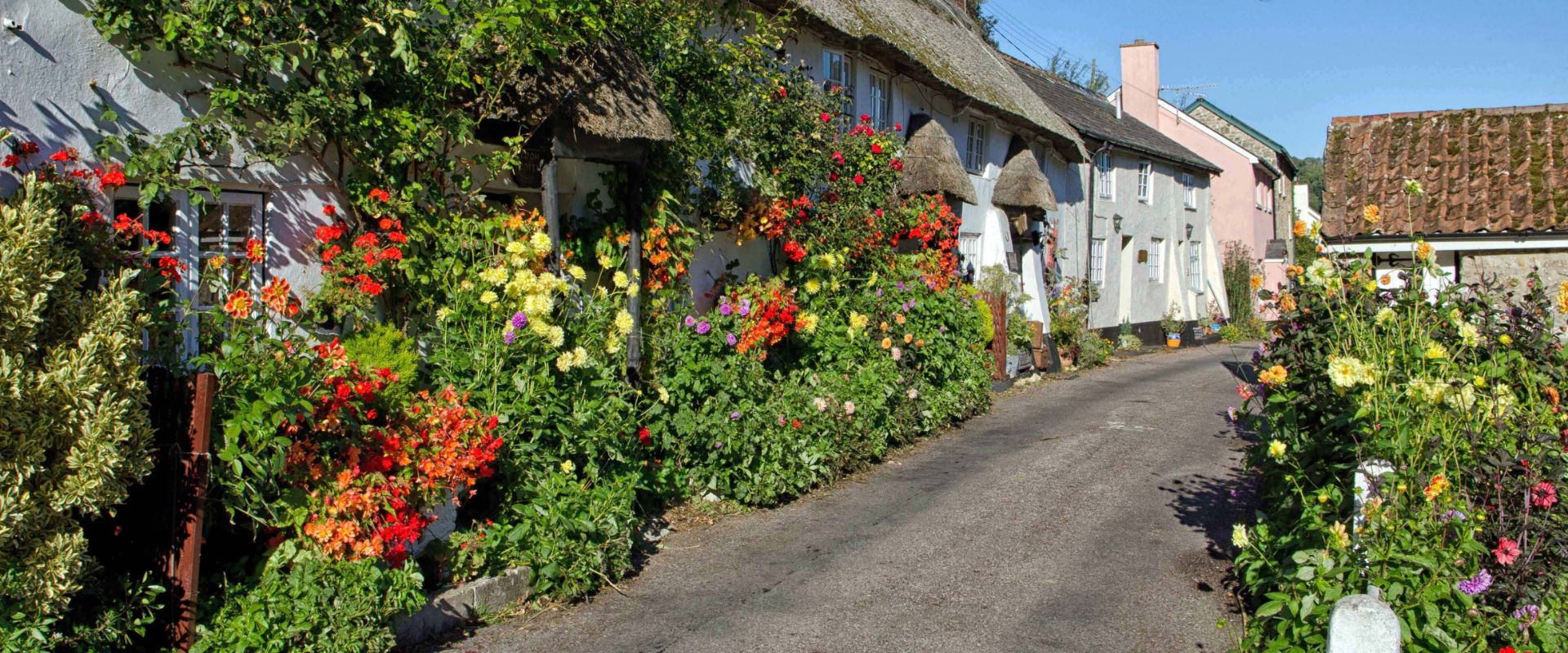 Doreen's cottage and garden at Branscombe in Devon