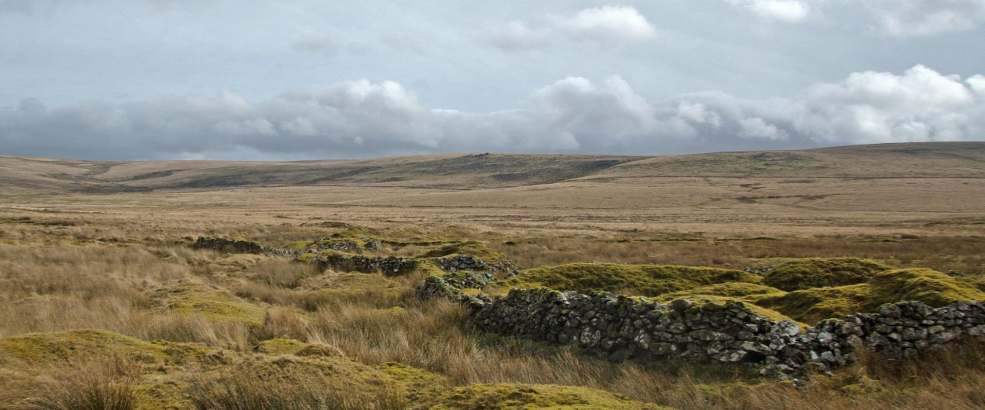 Fox Tor Mire, or Grimpen Mire in the great story!