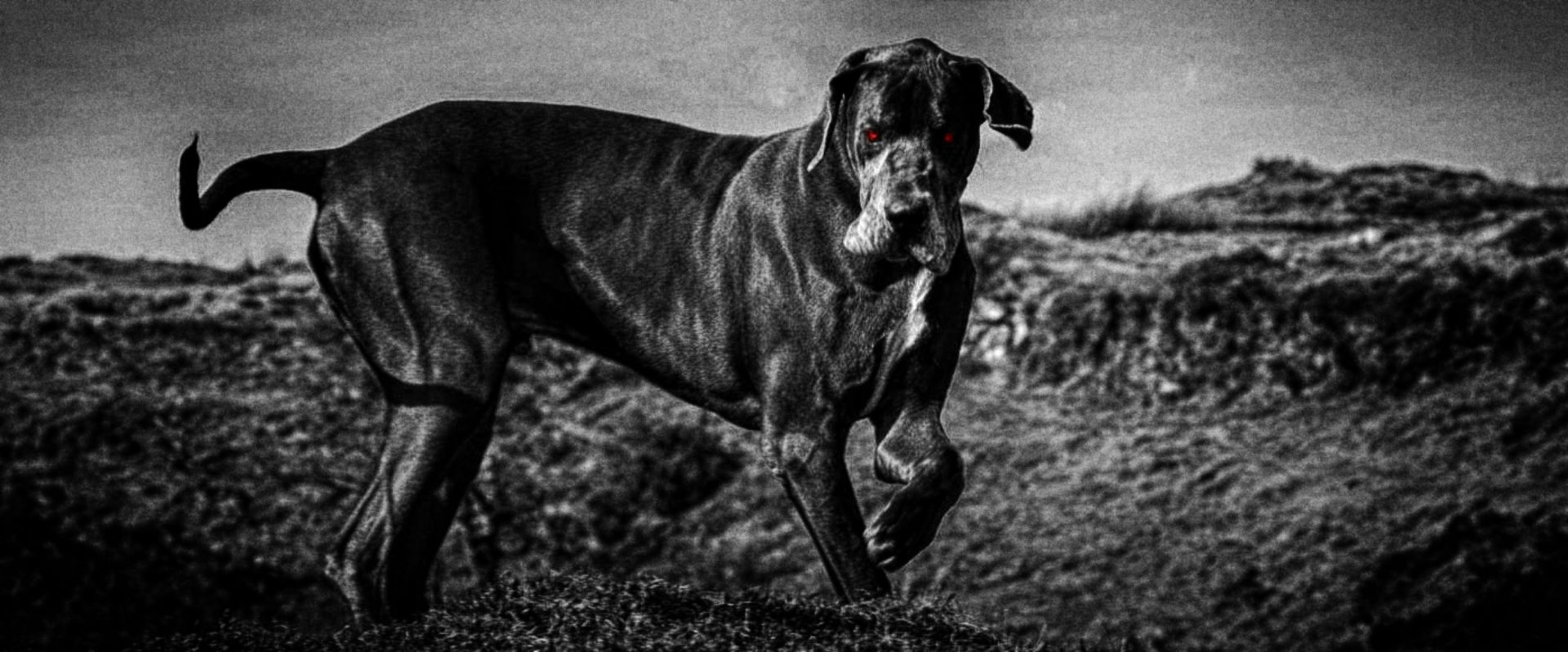 The Hound of the Baskervilles on Dartmoor