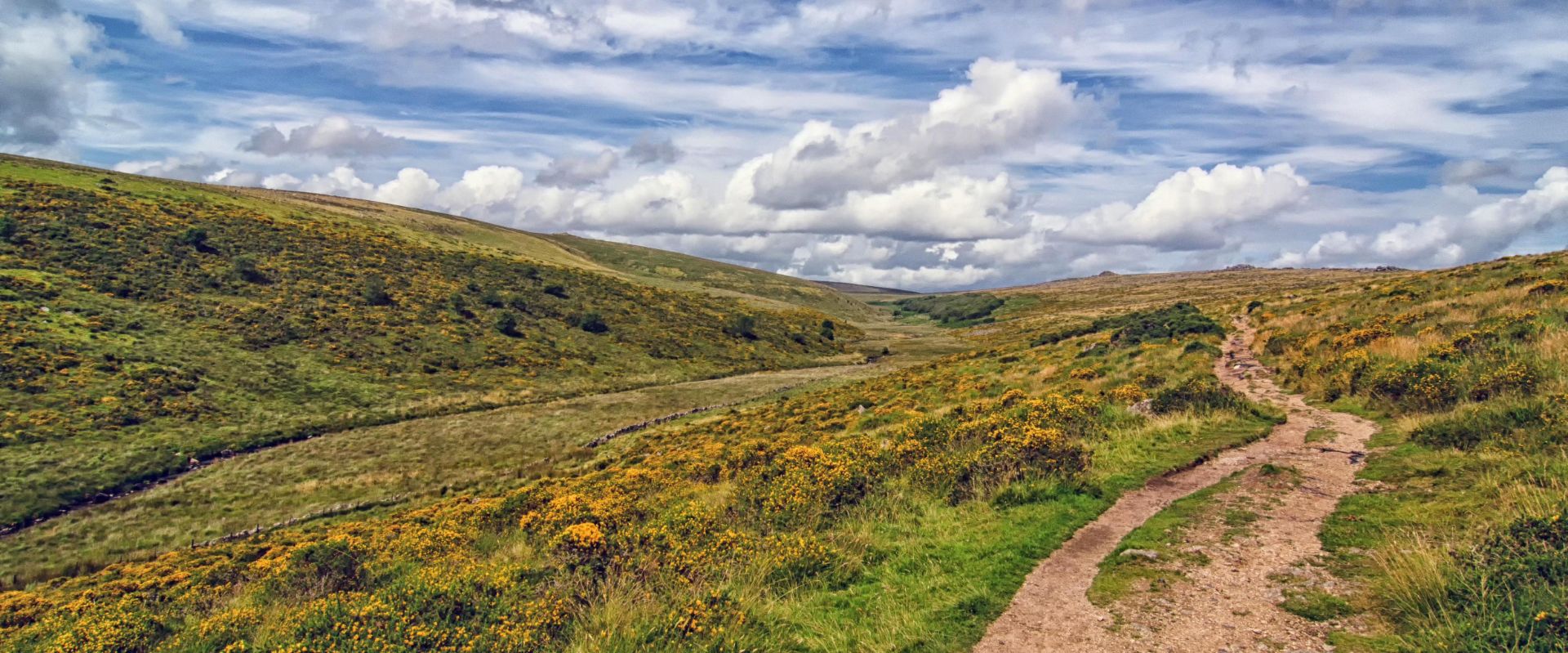 The walk to Wistman's Wood on Dartmoor